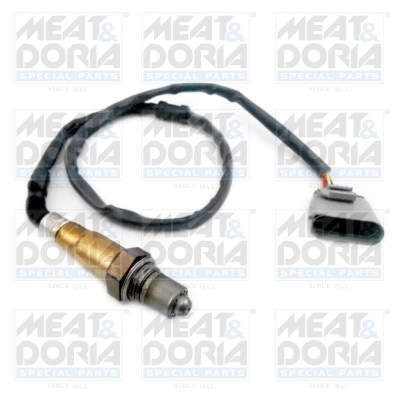 Oxygen Sensor